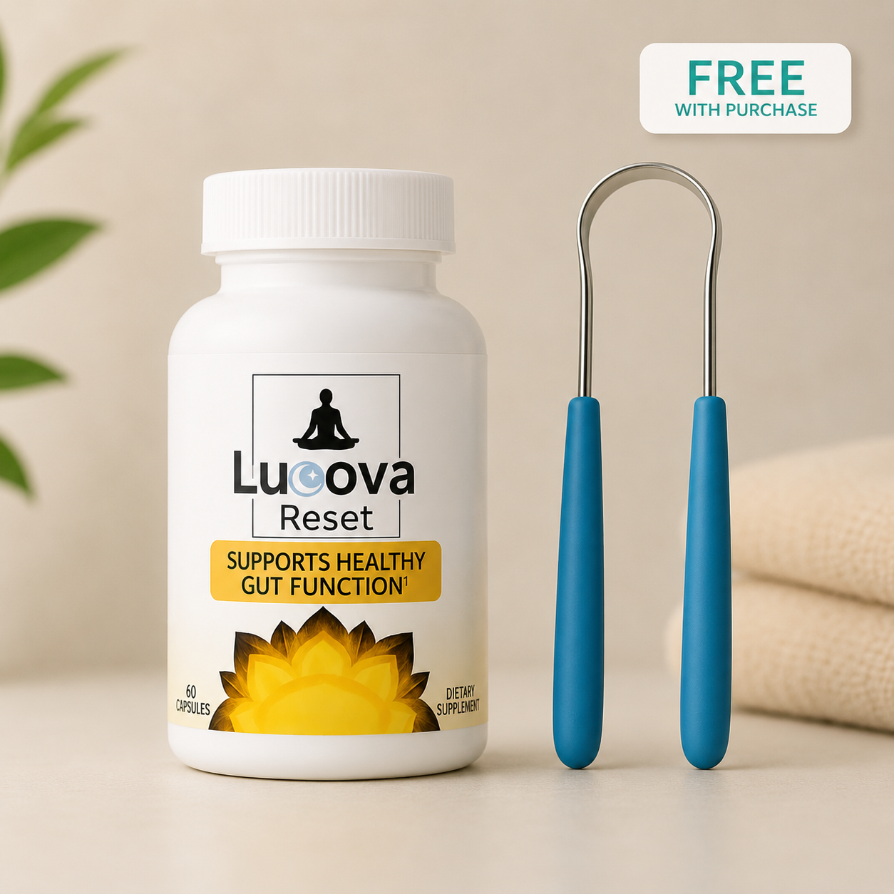 Lucova Reset