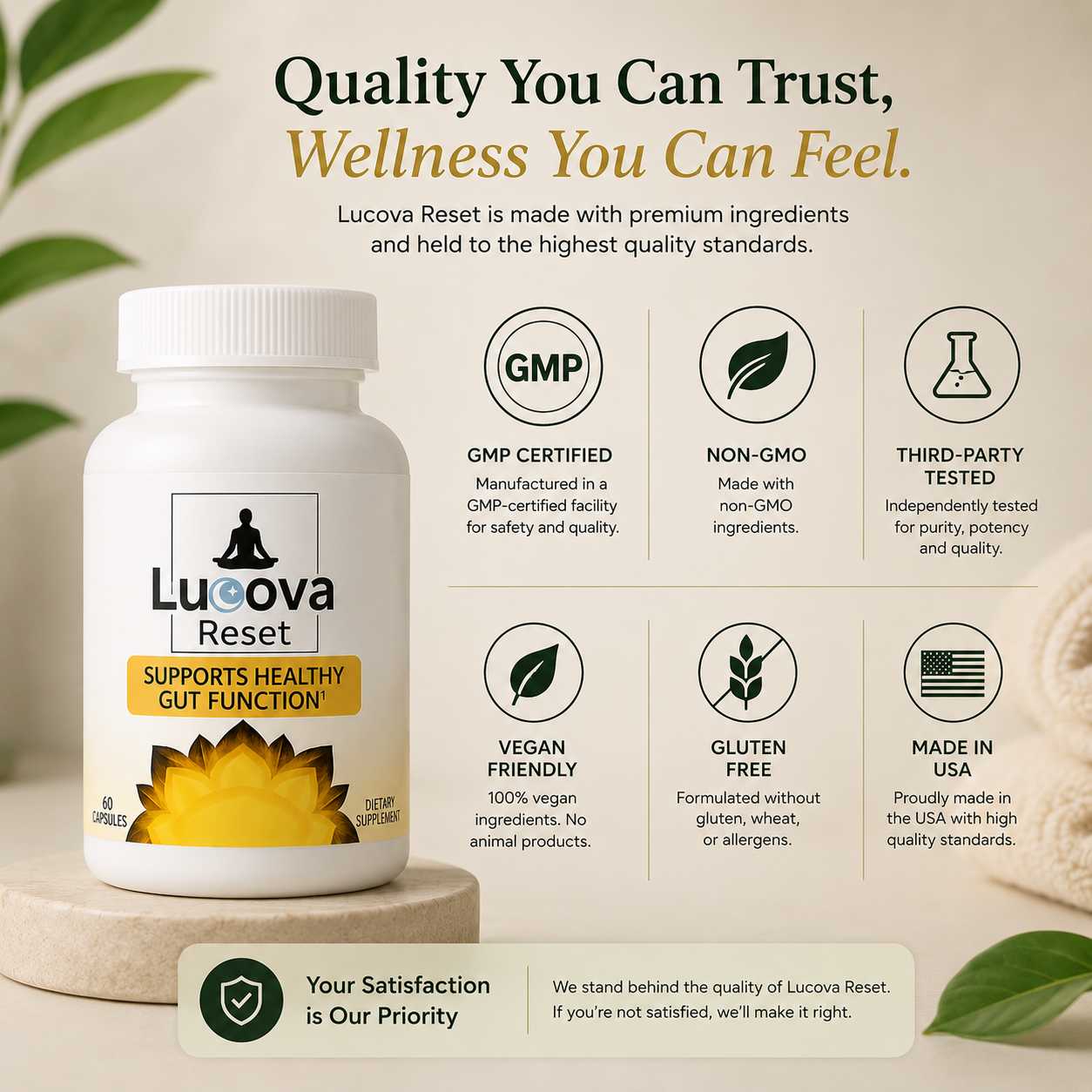 Lucova Reset