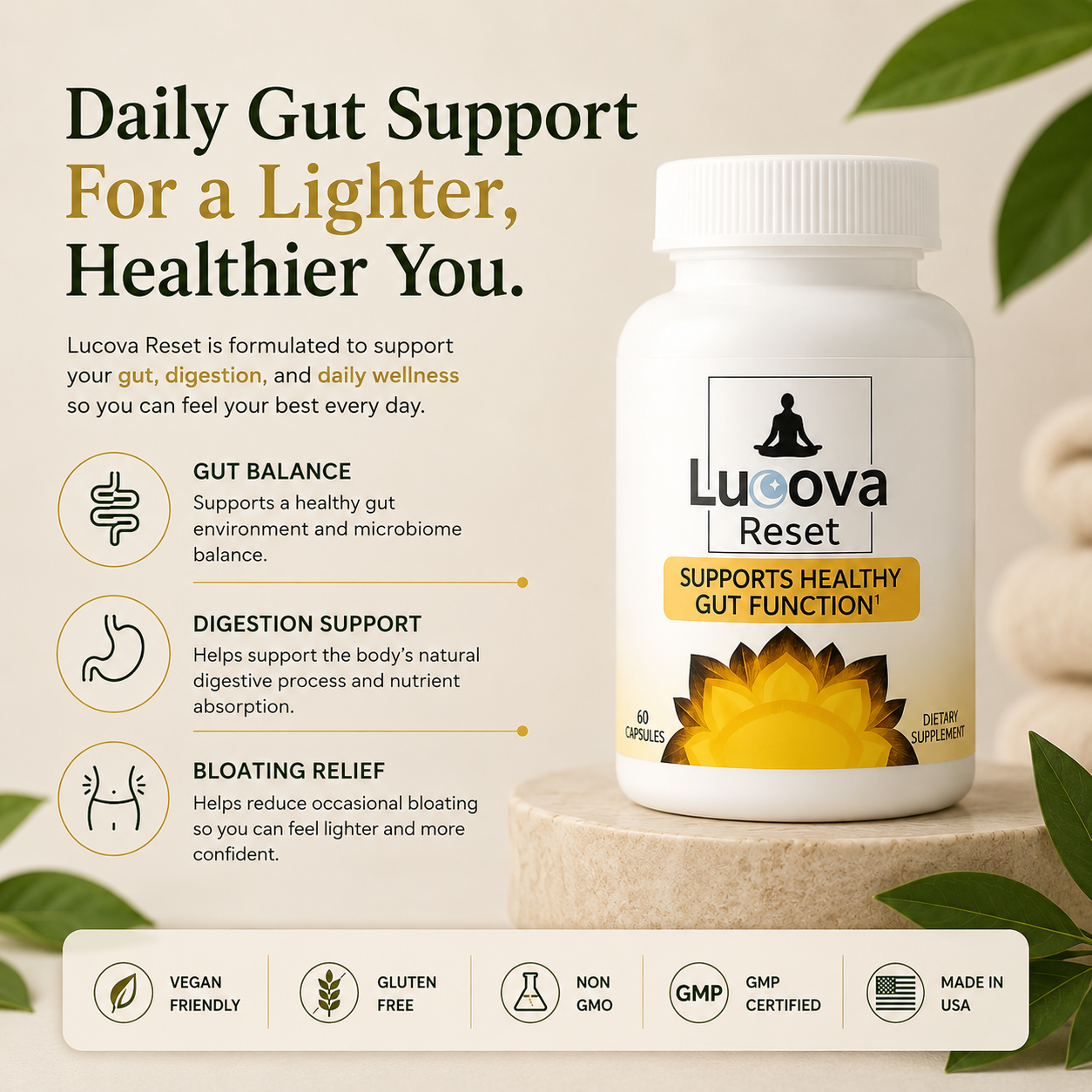 Lucova Reset